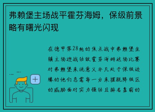 弗赖堡主场战平霍芬海姆，保级前景略有曙光闪现